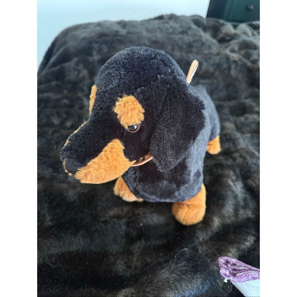 Scheels Jaag Dashshund Doxie 2020 Plush Puppy 12” Black Brown Wiener Dog